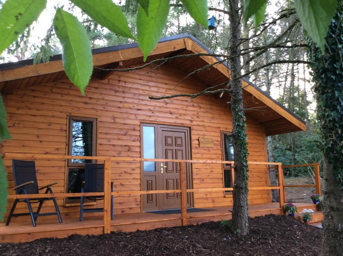 Butterfly Cabin Лімерик Екстер'єр фото
