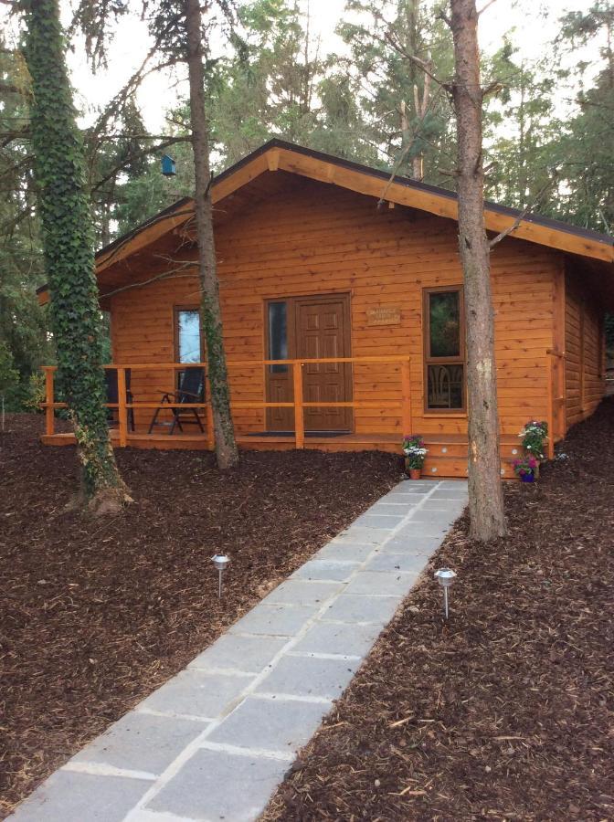 Butterfly Cabin Лімерик Екстер'єр фото