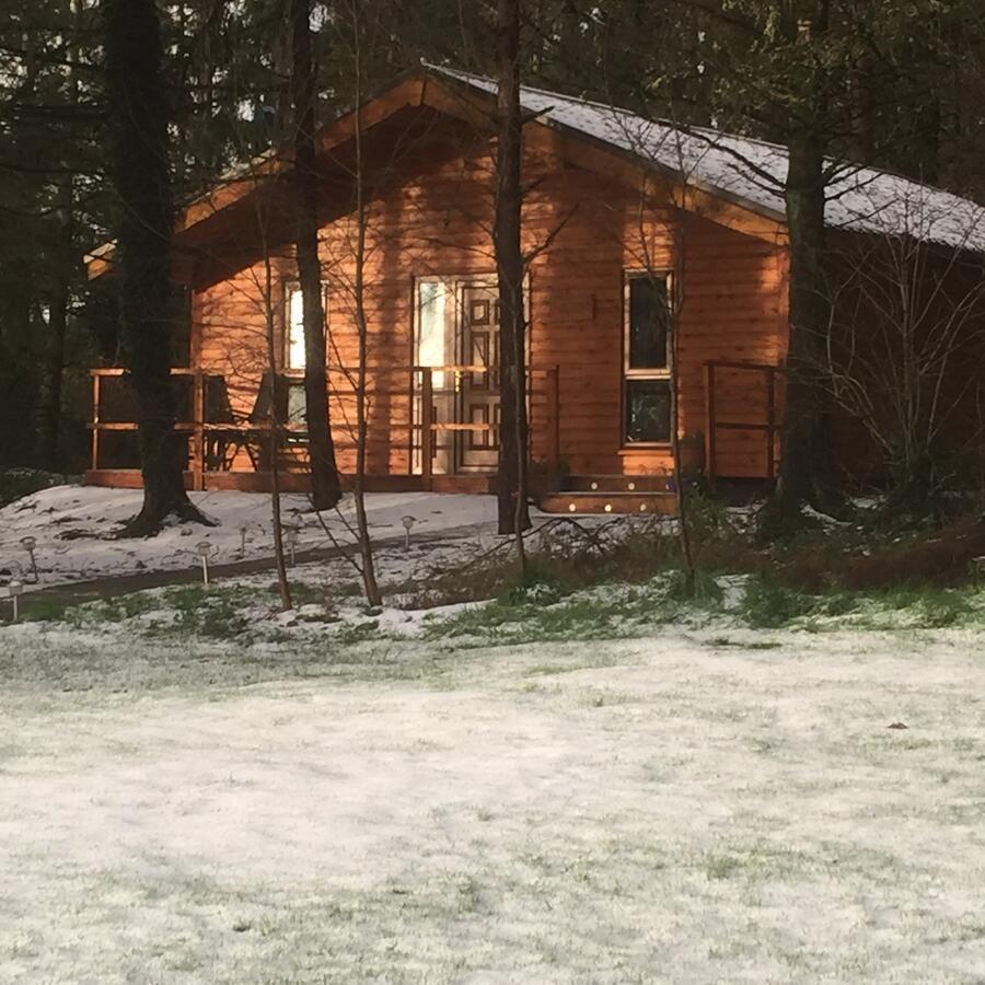 Butterfly Cabin Лімерик Екстер'єр фото